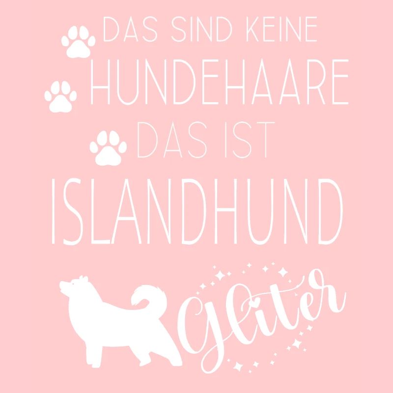 Islandhund Isländischer Schäferhund Spitz Hunde
