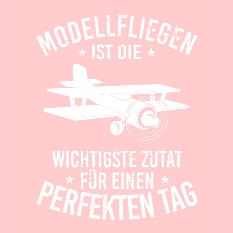 Modellbau Flugzeug Modellflug