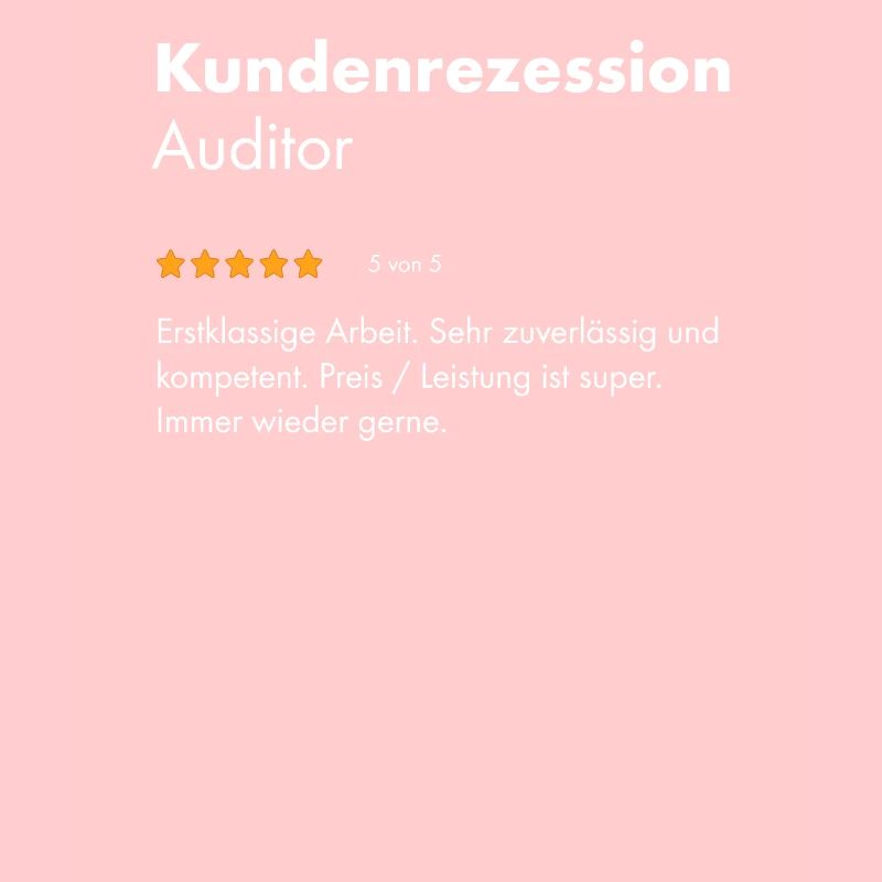 Auditor I Audit Motiv für internen oder externen