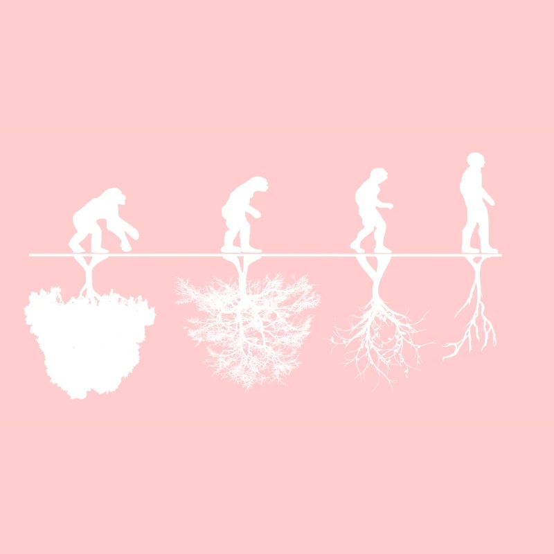 Evolution criticism