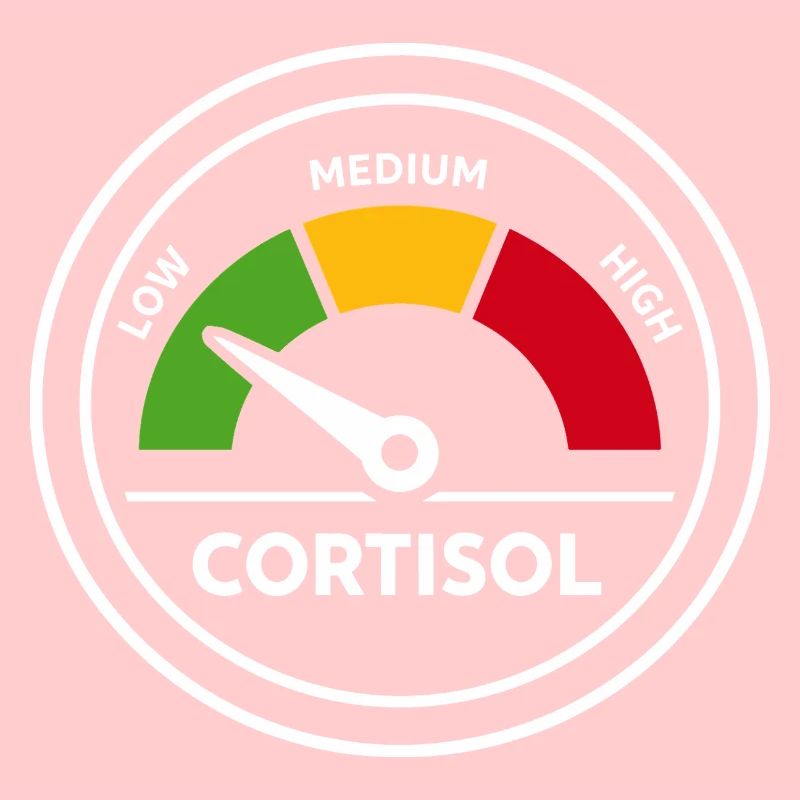 Cortisol Meter Funny Hormones Gift