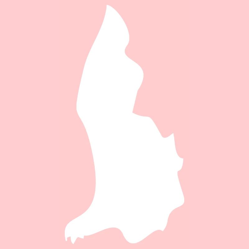 Drapeau de carte du Liechtenstein