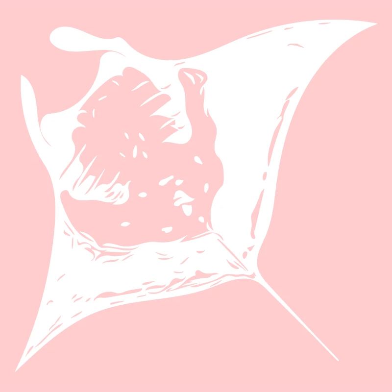 Manta Ray - Teufelsrochen