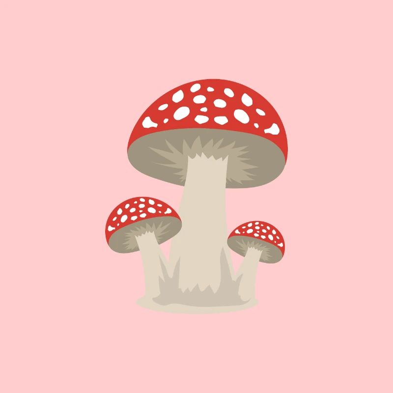 Mushroom lucky guy forest gift idea