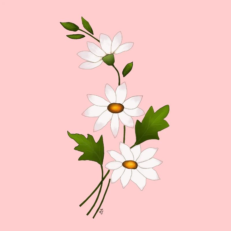 Gänseblümchenblüten