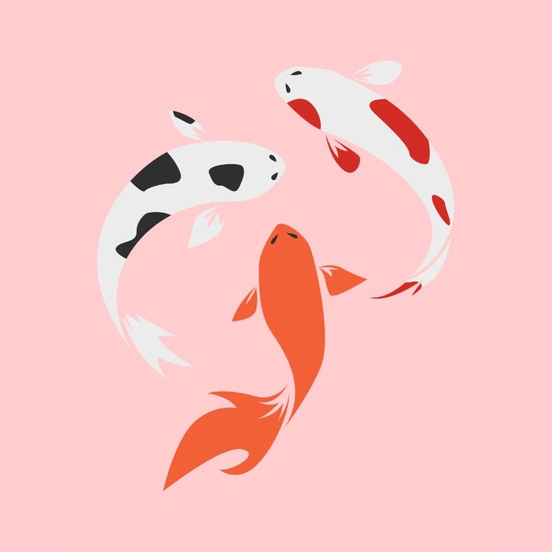 Koi