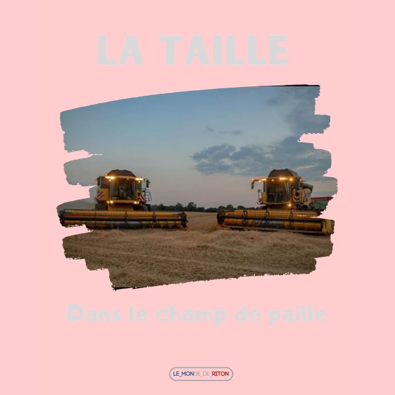 Expression durch Riton