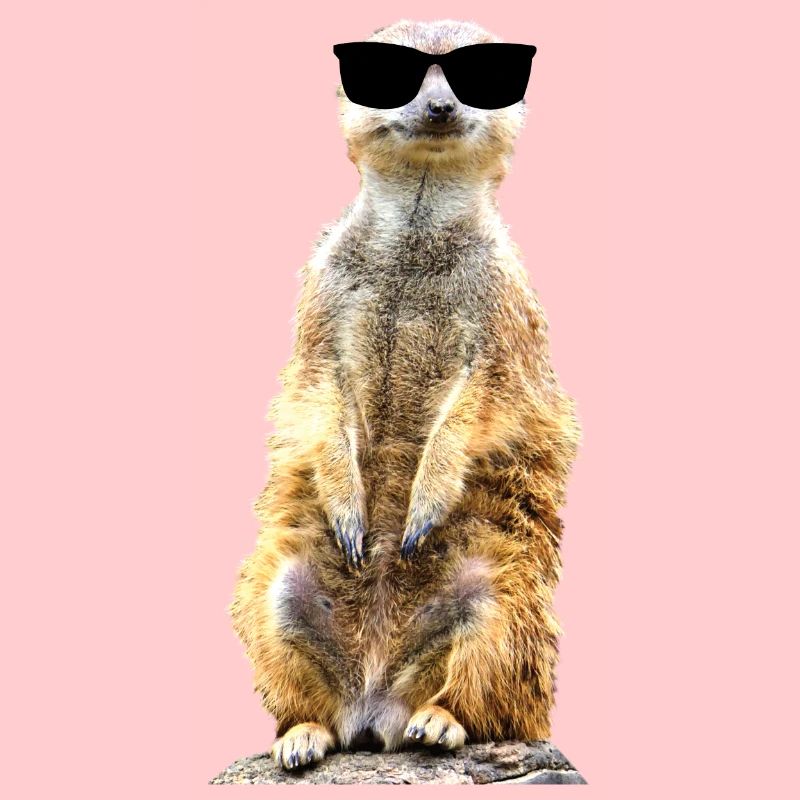 Erdmännchen cool drollig witzig mit Sonnenbrille