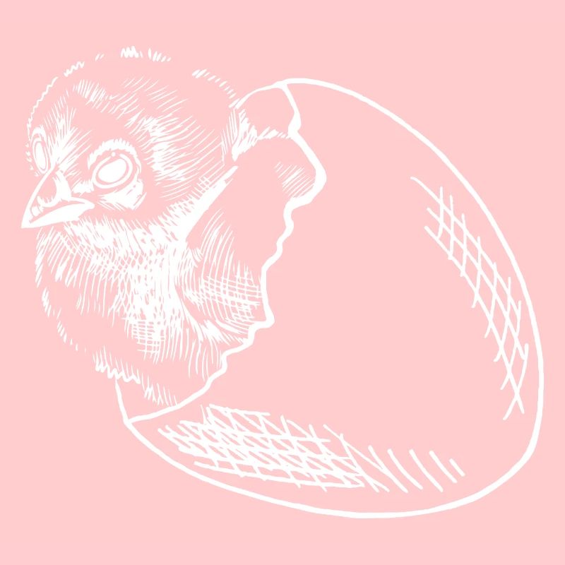 Les poussins couvent des œufs