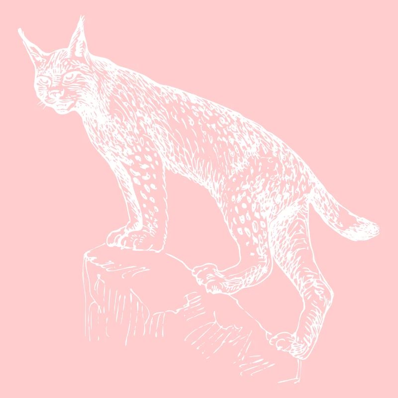 Lynx dessiné à la main