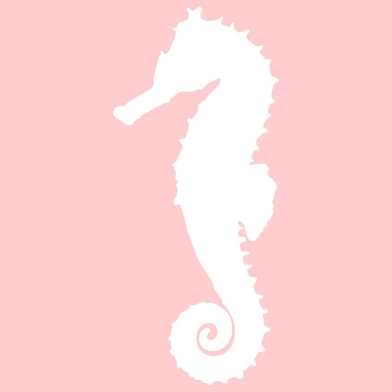 Hippocampe blanc