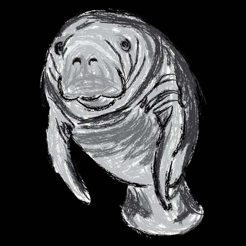 Design mit Seekuh / Artwork with a Manatee