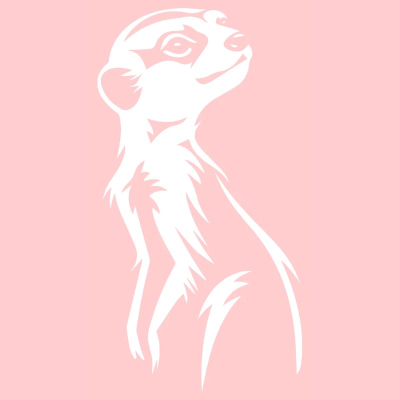 Cadeau de suricate