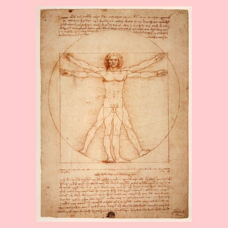 leonardo da vinci human