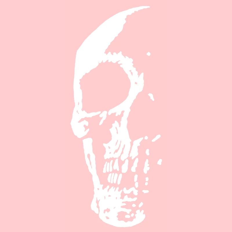 Skull in the Darkness