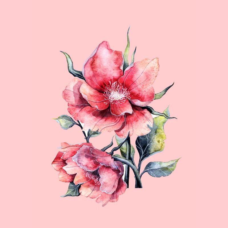 fleur