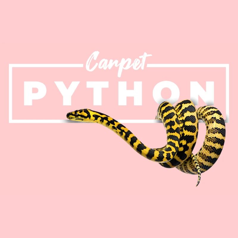 Tapis Python Geometric Reptile Owner