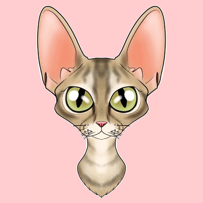 Cat Lover I Cat Face I Devon Rex Cat