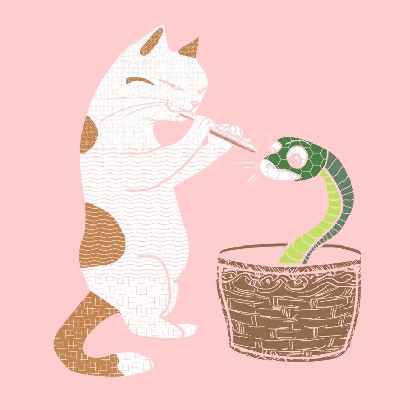 Le chat joue de la flûte et hynotise le serpent