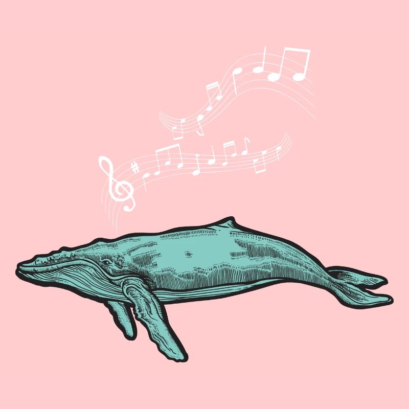 baleines mer poisson eau mer mer cachalot
