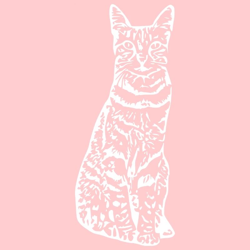Chat chat chaton