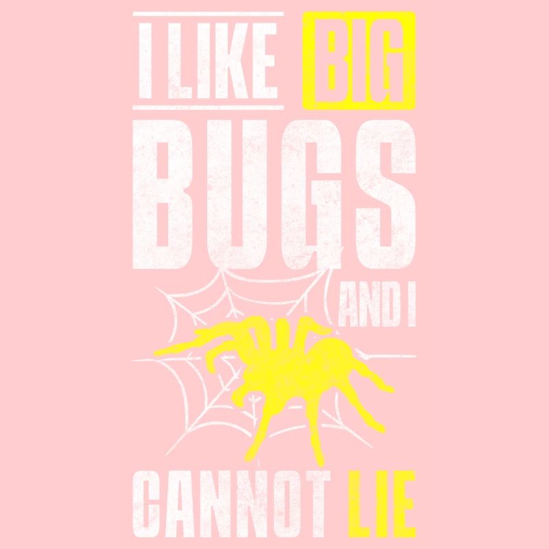 Spider Web Arachnids