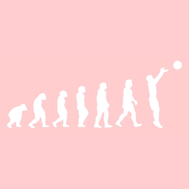 Basket évolution