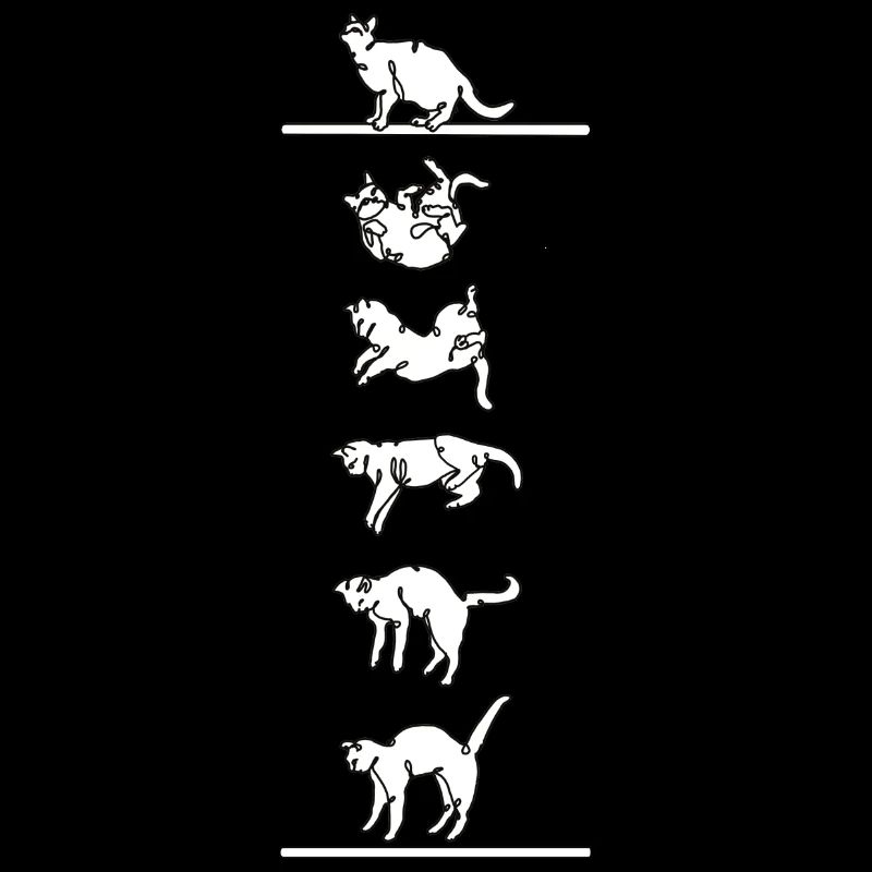 Le chat atterrit bien