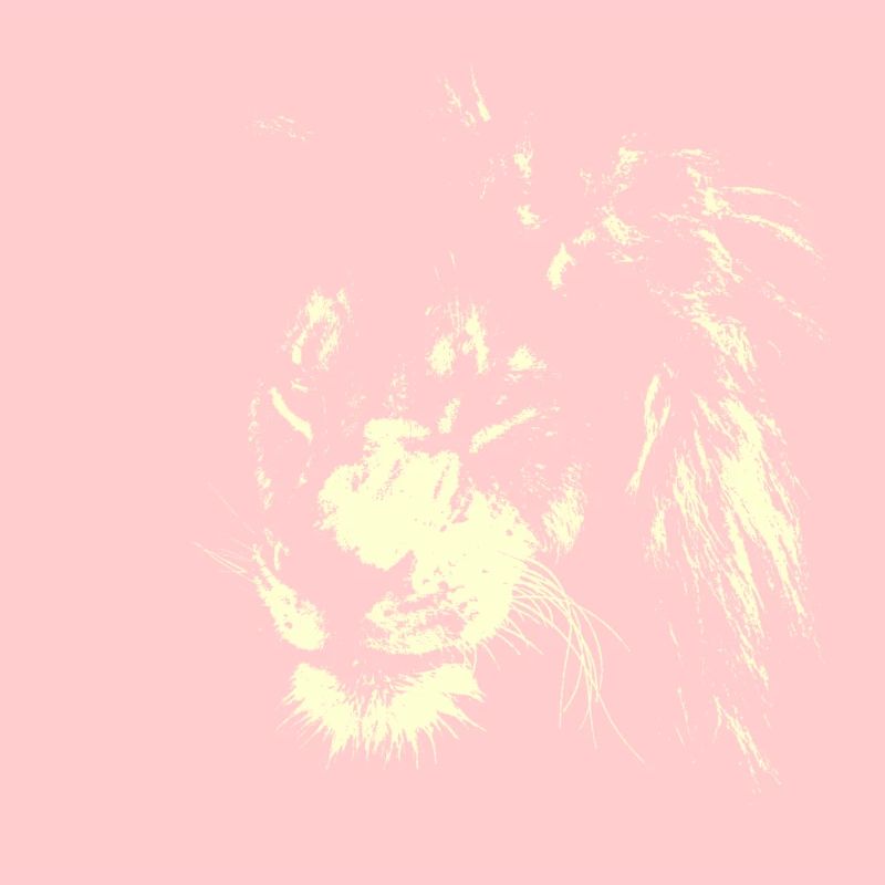 Löwe AFRIKA KATZE SAVANNE