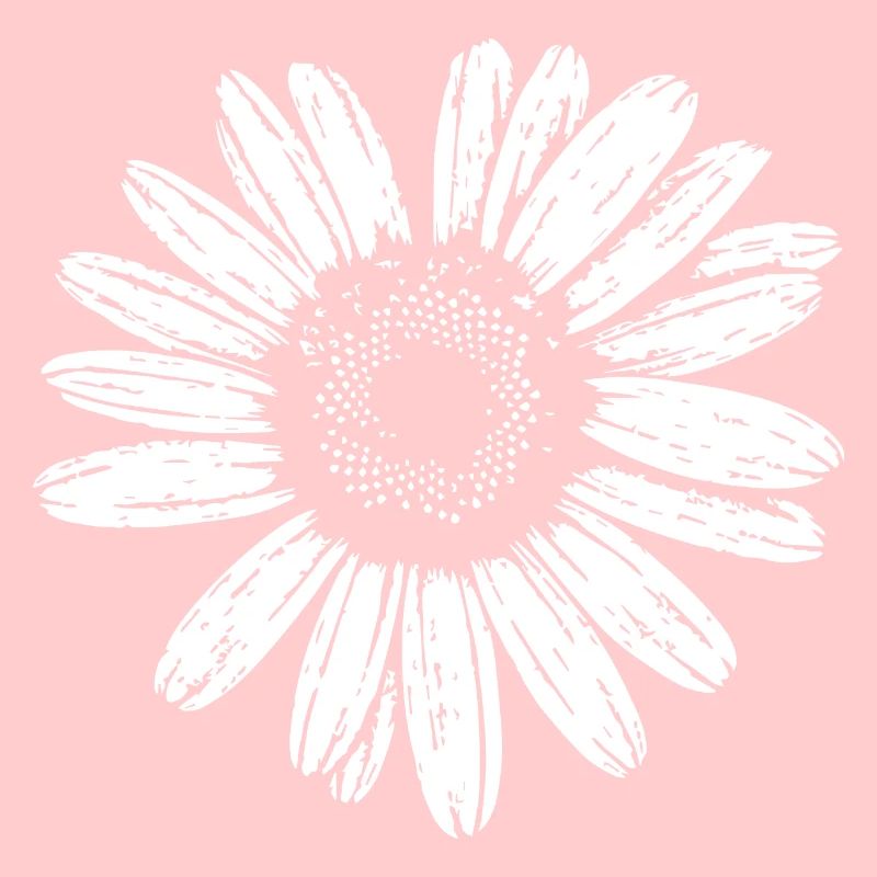 Gänseblümchen, Blume, Frühling, Sommer, Garten,