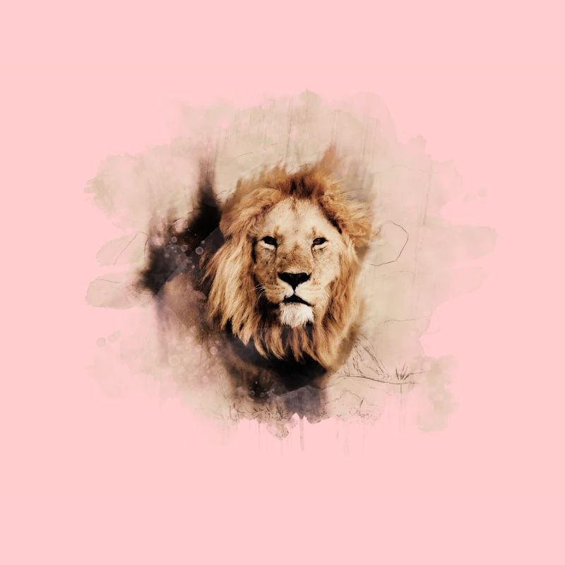 Éclaboussure de lion