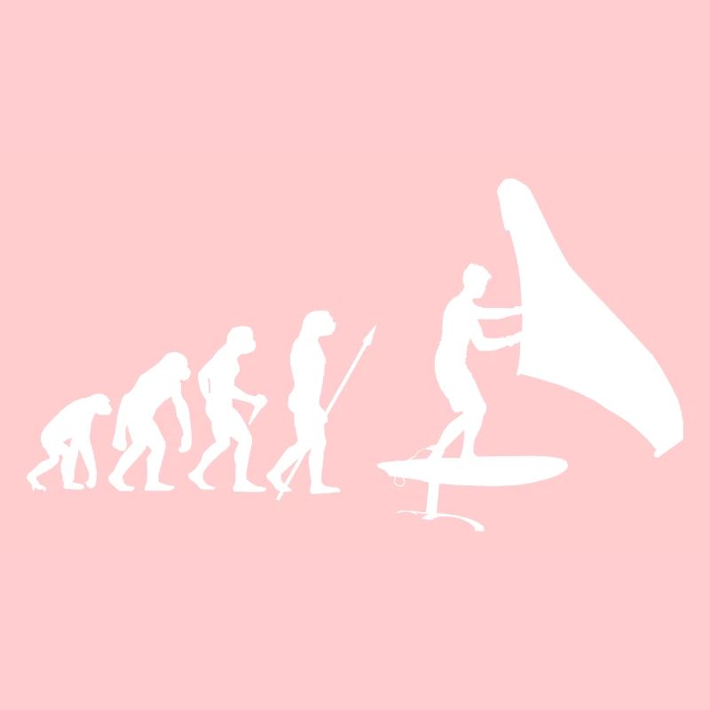 Hydrofoil Wingfoil Evolution Foil Wing Wingfoiling