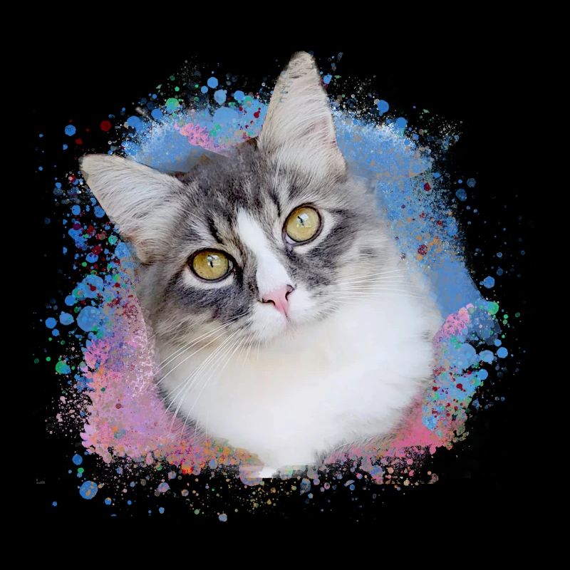 katze, bunt,aquarell, kunst,malerei,graffiti,gelb