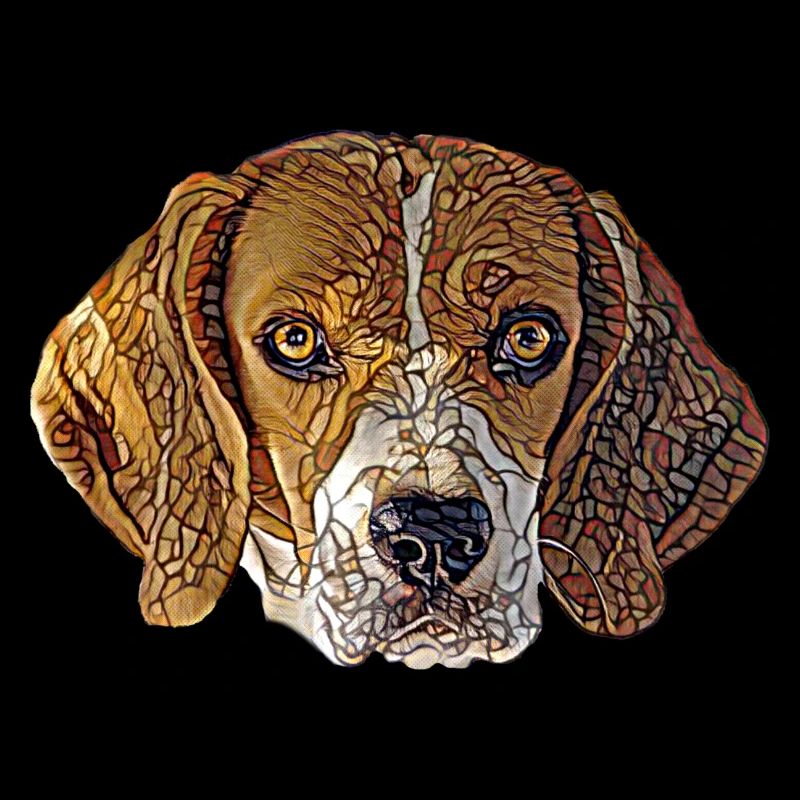 Visage de Beagle