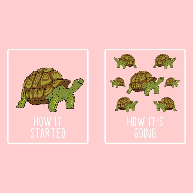 Tortoise Fan Turtle Funny How It Started How It's