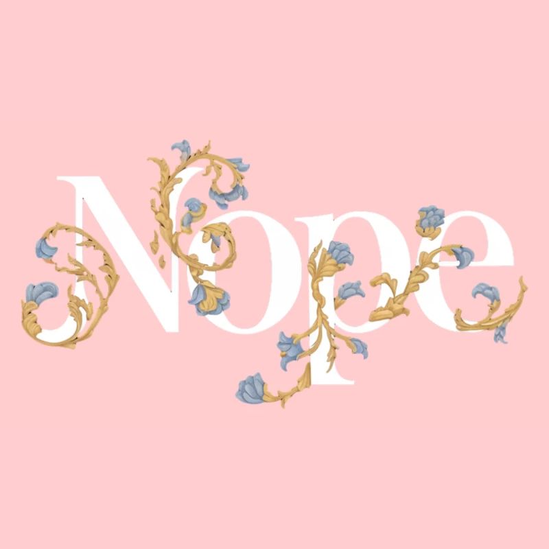 Elegant Nope Typography Design