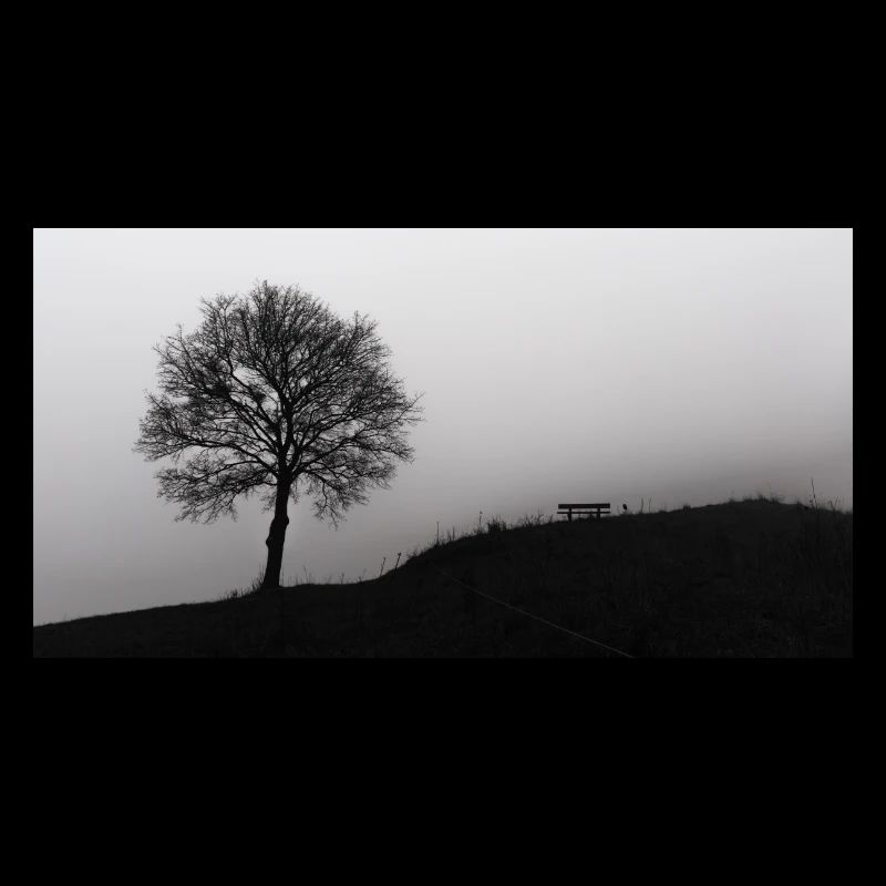 Le banc et l’arbre dans le brouillard