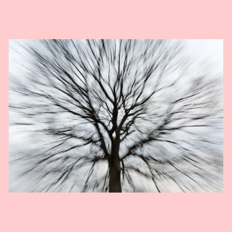 Silhouette eines kahlen Baumes mit runder Baumkrone