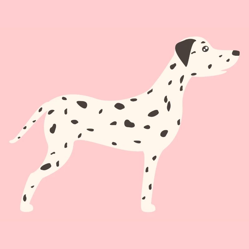 Dalmatian