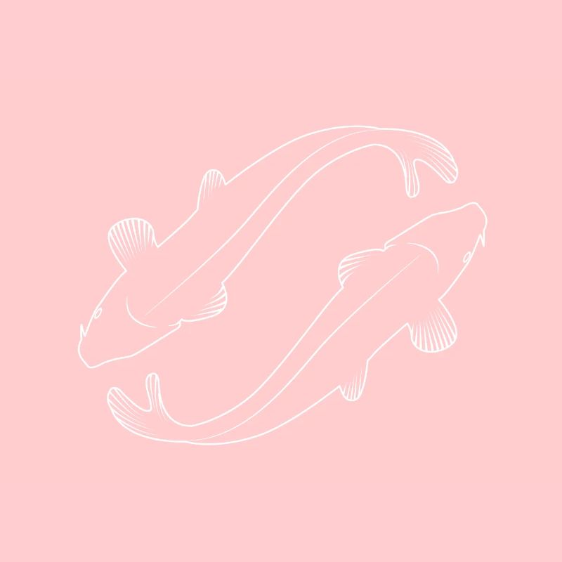 Koi carp for dark surface