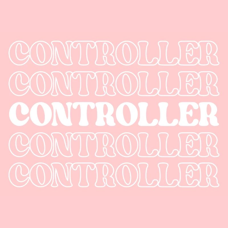 Controller Accountant Auditor Chief Financial