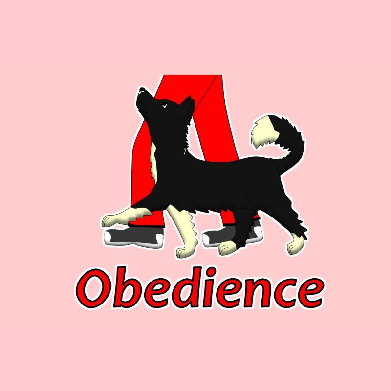 Obedience 1 Border Collie 1