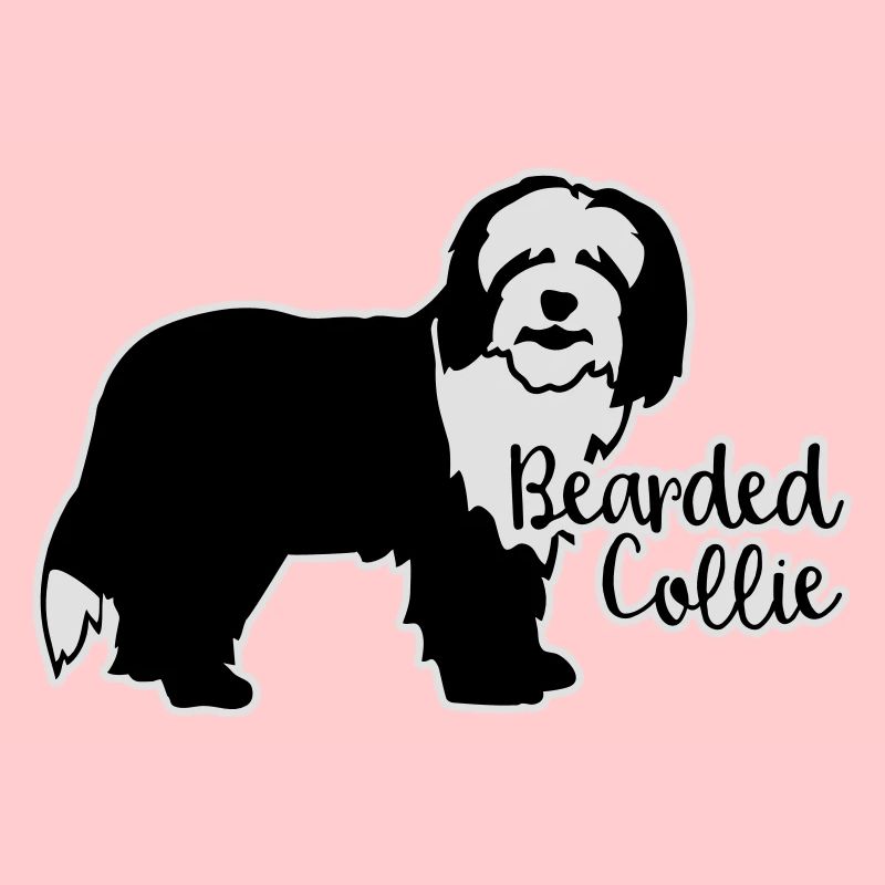 Bearded Collie