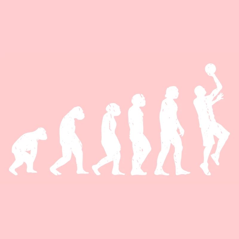 Evolution Basket-ball