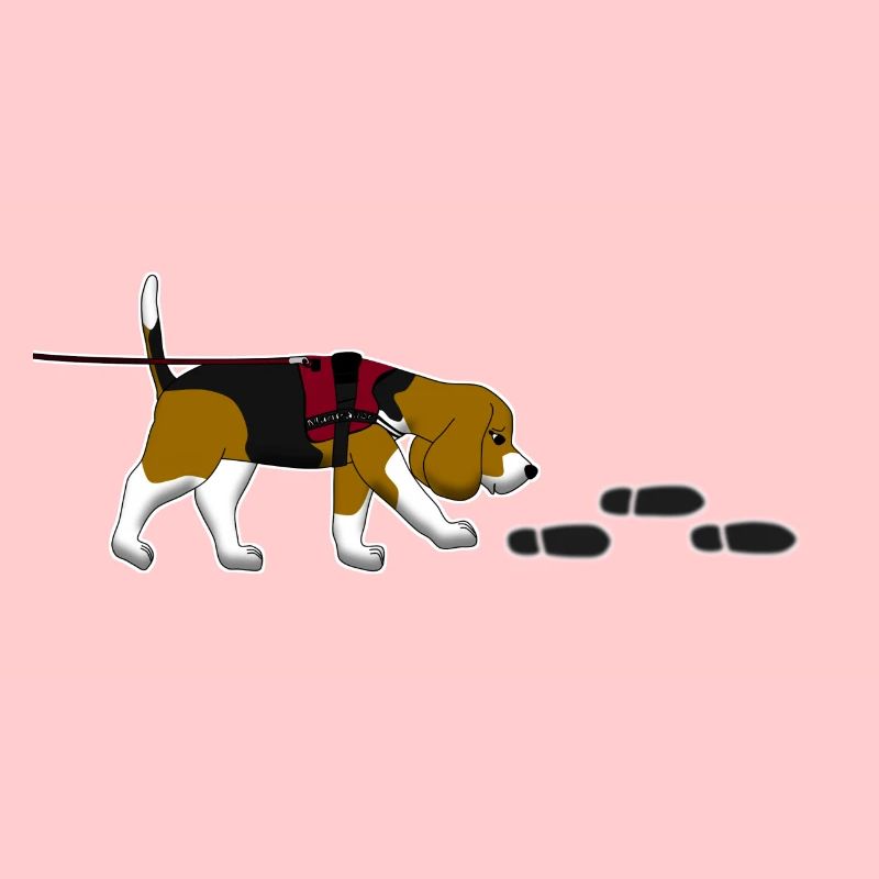 Mantrailing Beagle