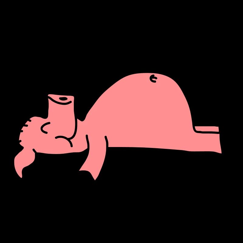 Sleeping Pig
