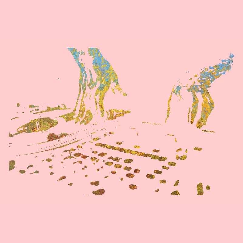 DJ Controller Elektronische Musik