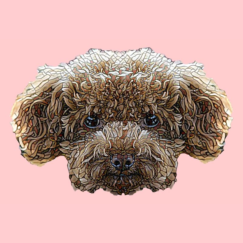 Visage de caniche jouet