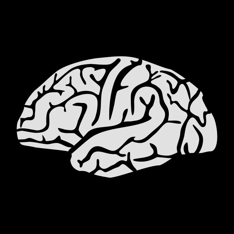 Brain