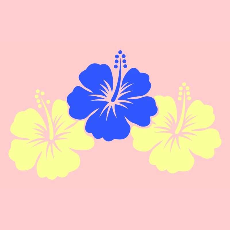 Fleurs d’hibiscus